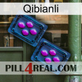 Qibianli 03